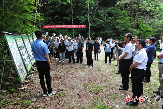 甘肃国有林场改革迈上新征程，高质量发展最新动态揭秘