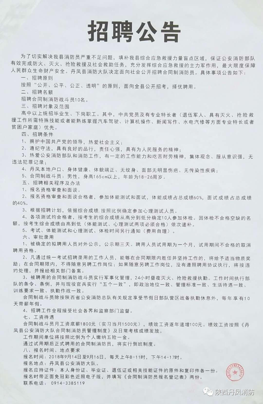 吉县人民政府办公室最新招聘概览