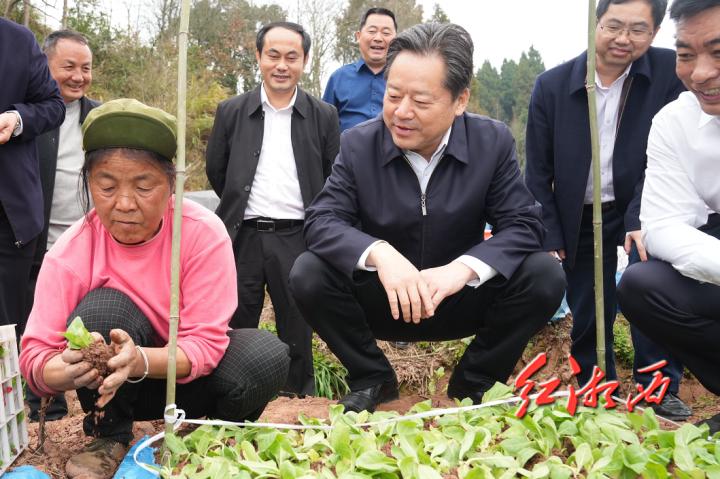 潭溪镇最新项目，引领地区发展的璀璨明珠