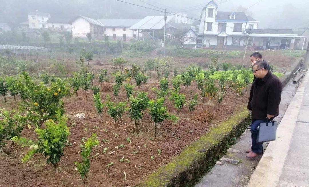 新建县农业农村局最新项目，推动农业现代化，助力乡村振兴