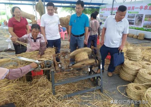 玉州区住房和城乡建设局最新动态速递