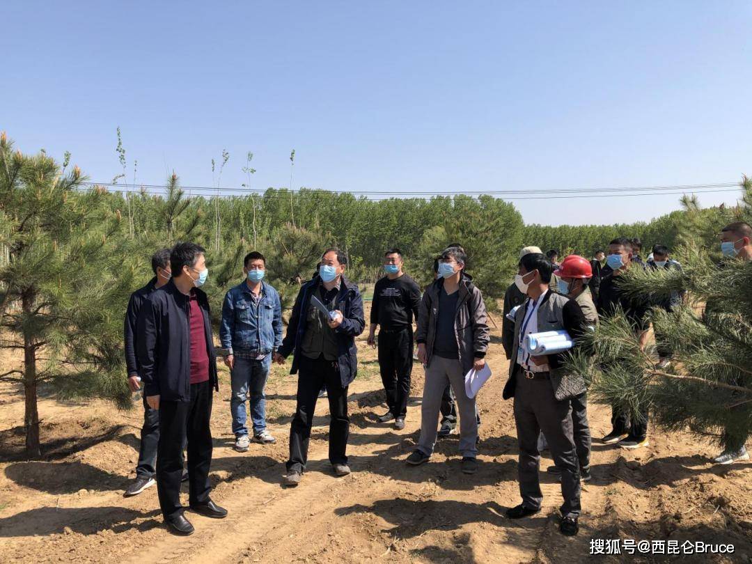 窑街矿务局民勤林场最新新闻动态