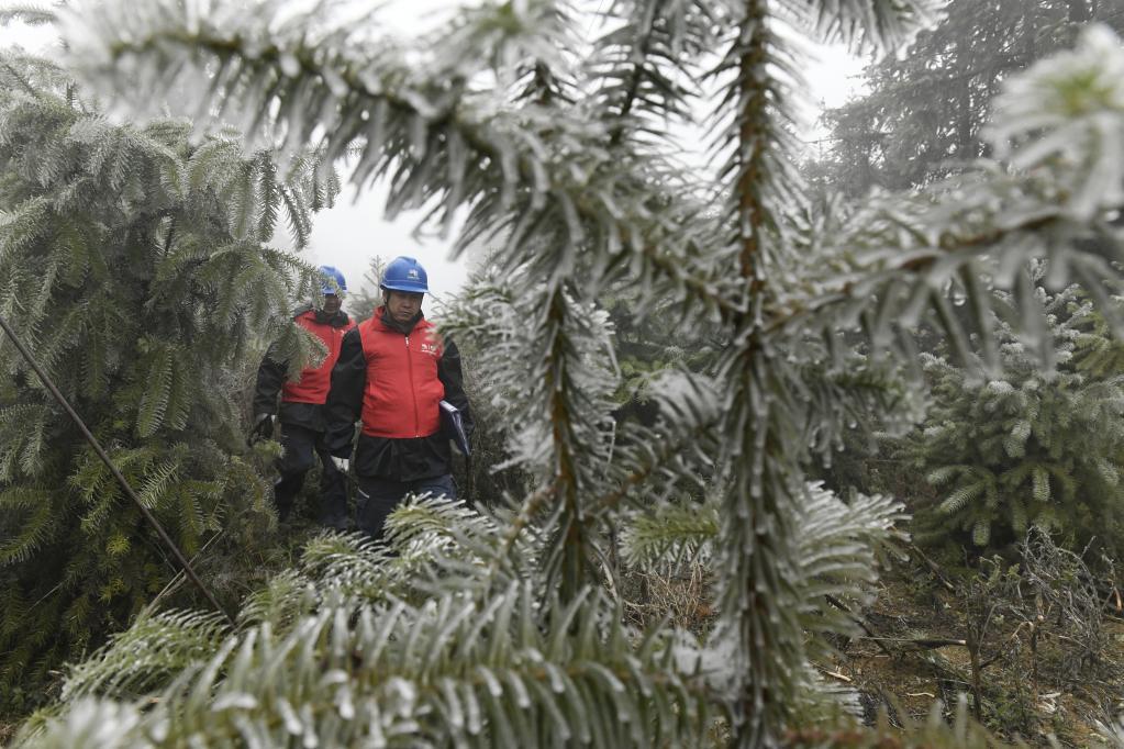 锦屏县科技局领导团队最新概述